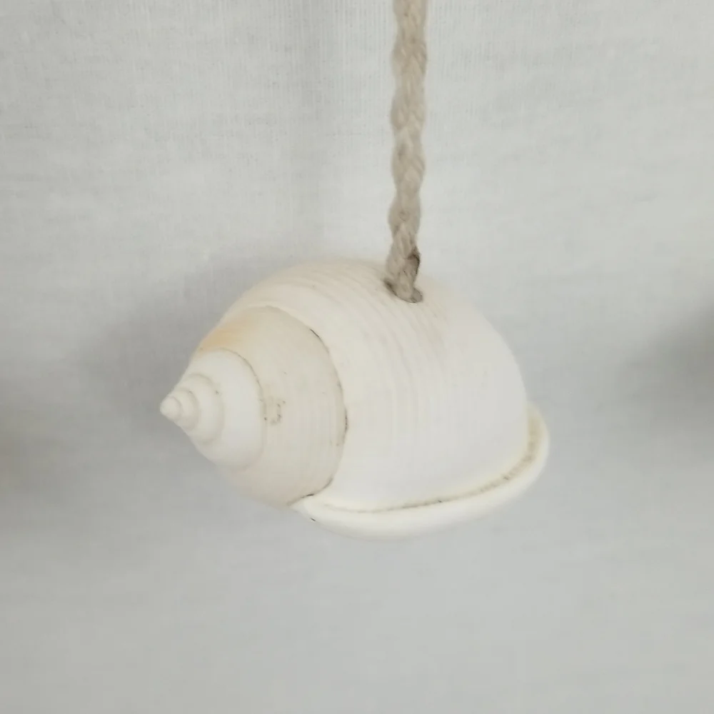 Neutral Shell and Driftwood Hanging Wall Decor